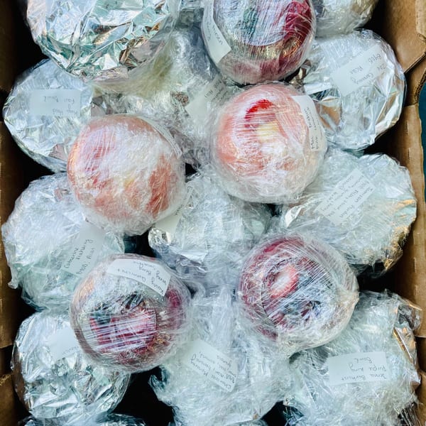 A box filled with individually wrapped Aruba Island Bowls, some in foil, others in plastic wrap with labels.